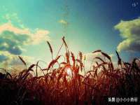 义乌市况任电子商务商行