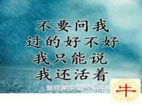 义乌市况任电子商务商行