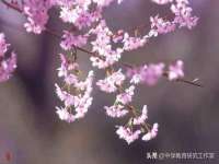 义乌市况任电子商务商行