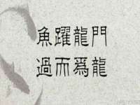 义乌市况任电子商务商行