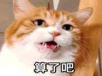 义乌市况任电子商务商行