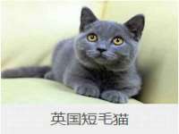 义乌市况任电子商务商行