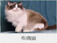 义乌市况任电子商务商行
