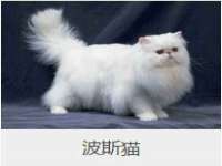义乌市况任电子商务商行