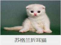 义乌市况任电子商务商行