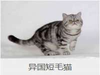 义乌市况任电子商务商行