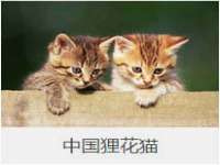 义乌市况任电子商务商行