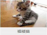 义乌市况任电子商务商行