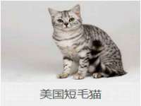 义乌市况任电子商务商行
