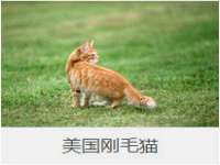 义乌市况任电子商务商行
