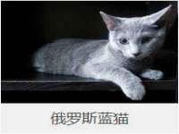义乌市况任电子商务商行