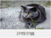 义乌市况任电子商务商行