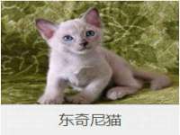 义乌市况任电子商务商行