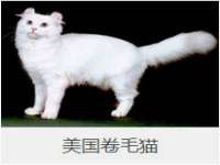 义乌市况任电子商务商行