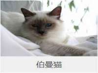 义乌市况任电子商务商行