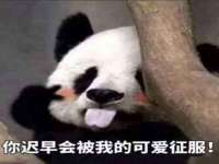 义乌市况任电子商务商行