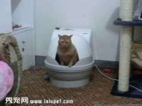 义乌市况任电子商务商行