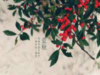 义乌市况任电子商务商行