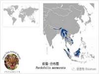 义乌市况任电子商务商行