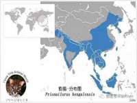 义乌市况任电子商务商行