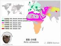 义乌市况任电子商务商行