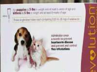 义乌市况任电子商务商行