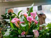 义乌市况任电子商务商行