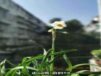 义乌市况任电子商务商行