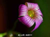 义乌市况任电子商务商行