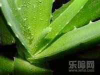 义乌市况任电子商务商行