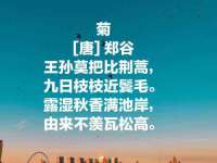 义乌市况任电子商务商行