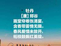 义乌市况任电子商务商行