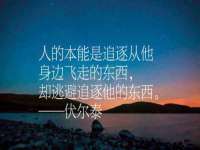 义乌市况任电子商务商行