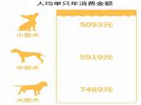 义乌市况任电子商务商行