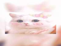 义乌市况任电子商务商行