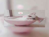 义乌市况任电子商务商行