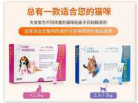 义乌市况任电子商务商行