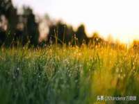 义乌市况任电子商务商行