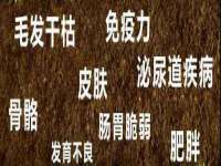 义乌市况任电子商务商行