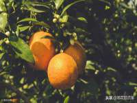 义乌市况任电子商务商行