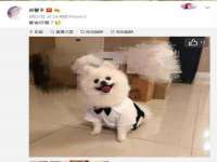 义乌市况任电子商务商行