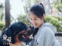义乌市况任电子商务商行