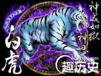 义乌市况任电子商务商行