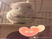 义乌市况任电子商务商行