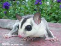 义乌市况任电子商务商行