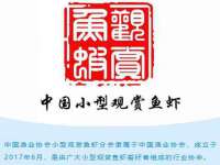 义乌市况任电子商务商行
