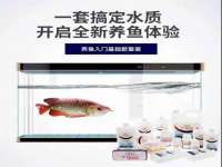 义乌市况任电子商务商行