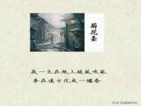 义乌市况任电子商务商行