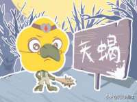 义乌市况任电子商务商行