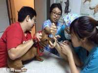 义乌市况任电子商务商行